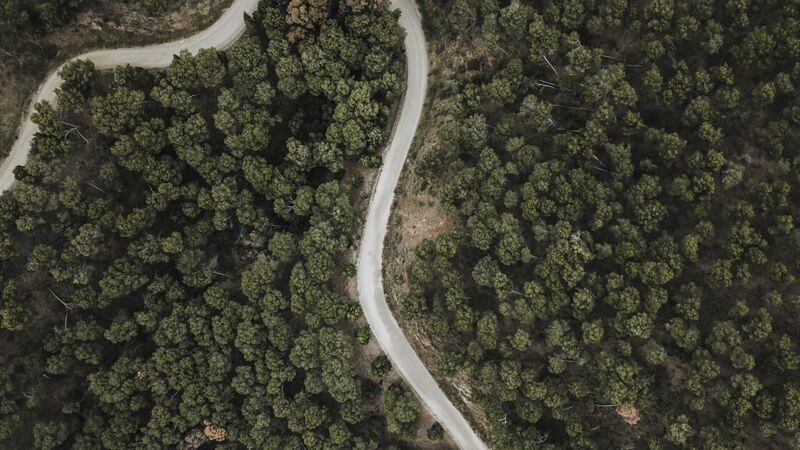Der Trailrunning-Guide für Einsteiger
