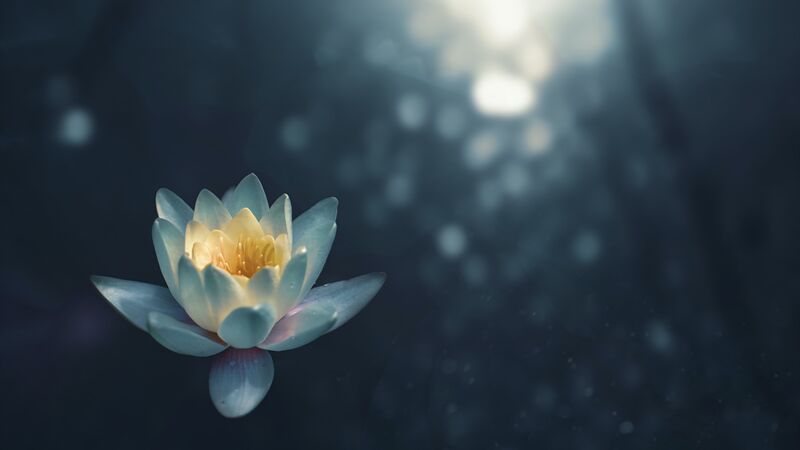 Meditation stärkt Ihren mentalen Muskel