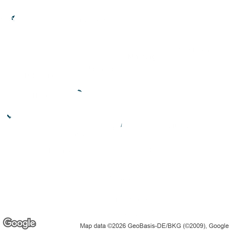 Map - Silvana Pavel