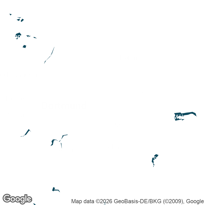 Map - Sarah Sefidizadeh