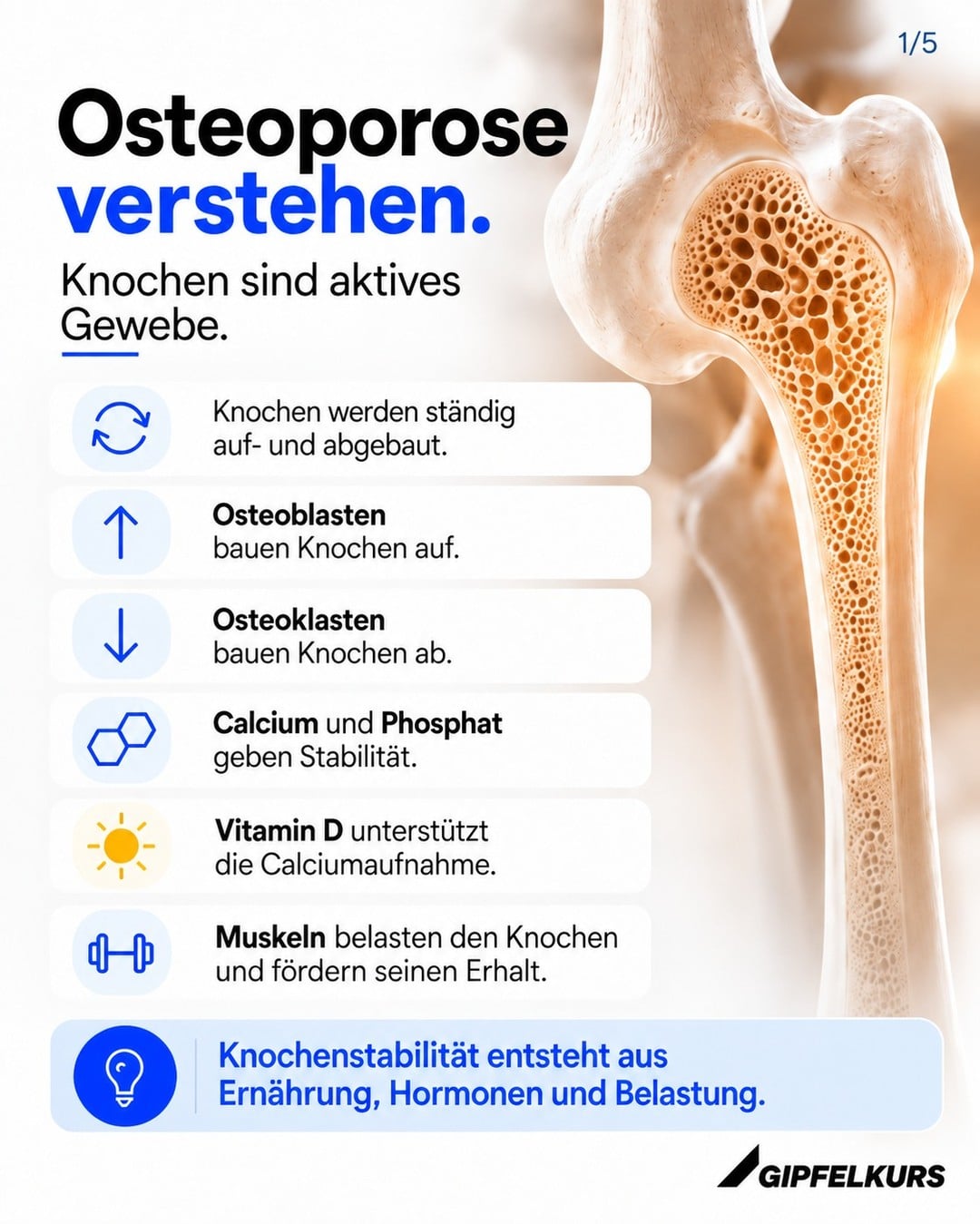 Instagram-Post von @gipfelkurs