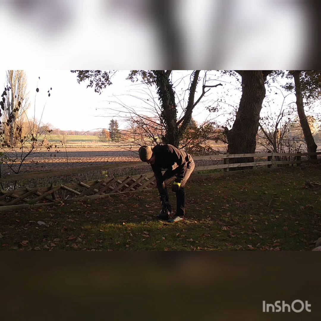 Instagram-Post von @tomkaniess_personal_training