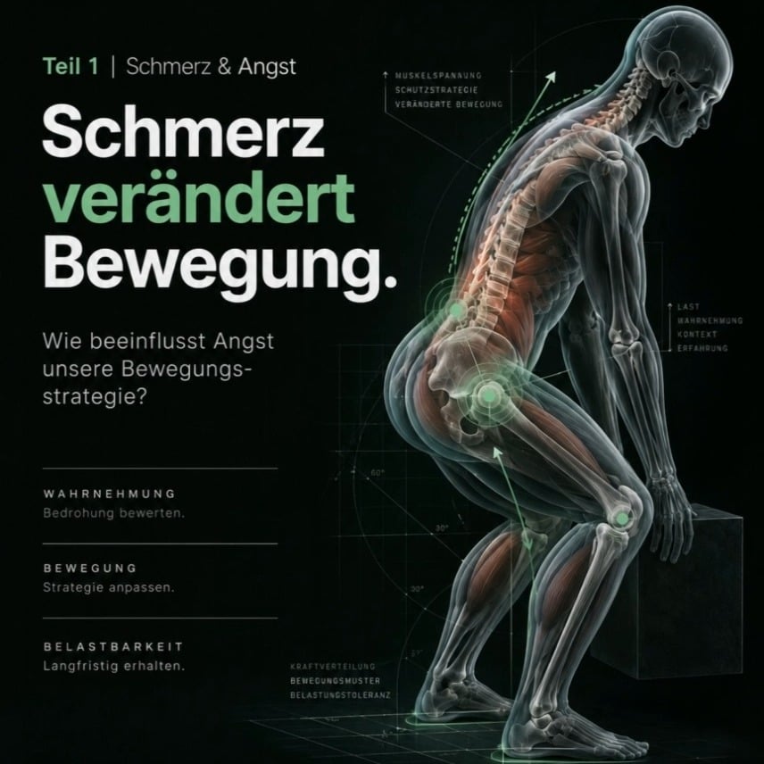 Instagram-Post von @bewegungsdenker_stefan