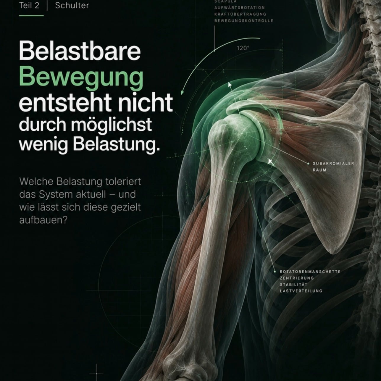 Instagram-Post von @bewegungsdenker_stefan