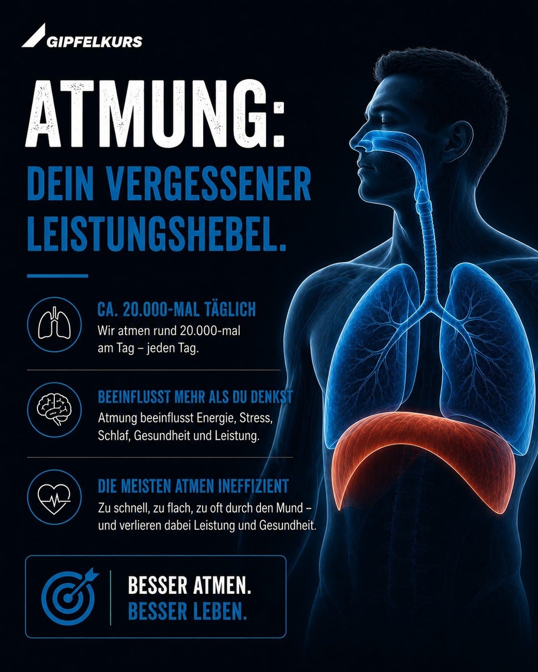 Instagram-Post von @gipfelkurs