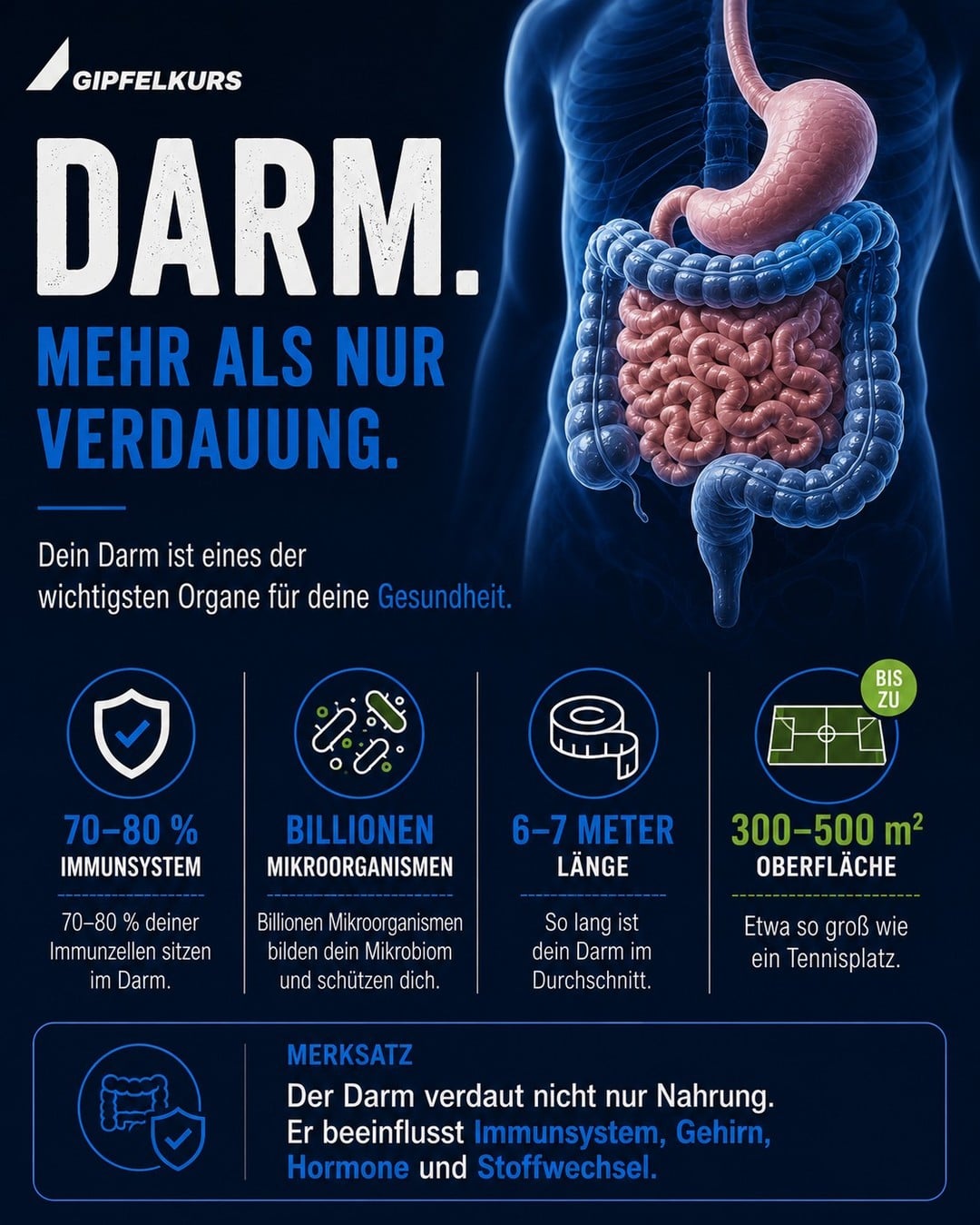 Instagram-Post von @gipfelkurs